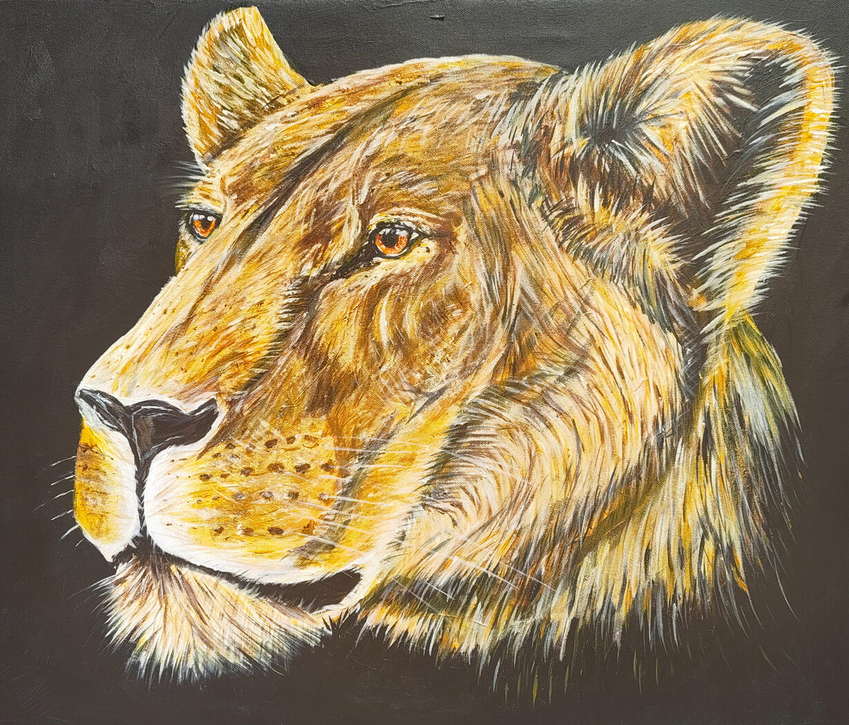 Lioness