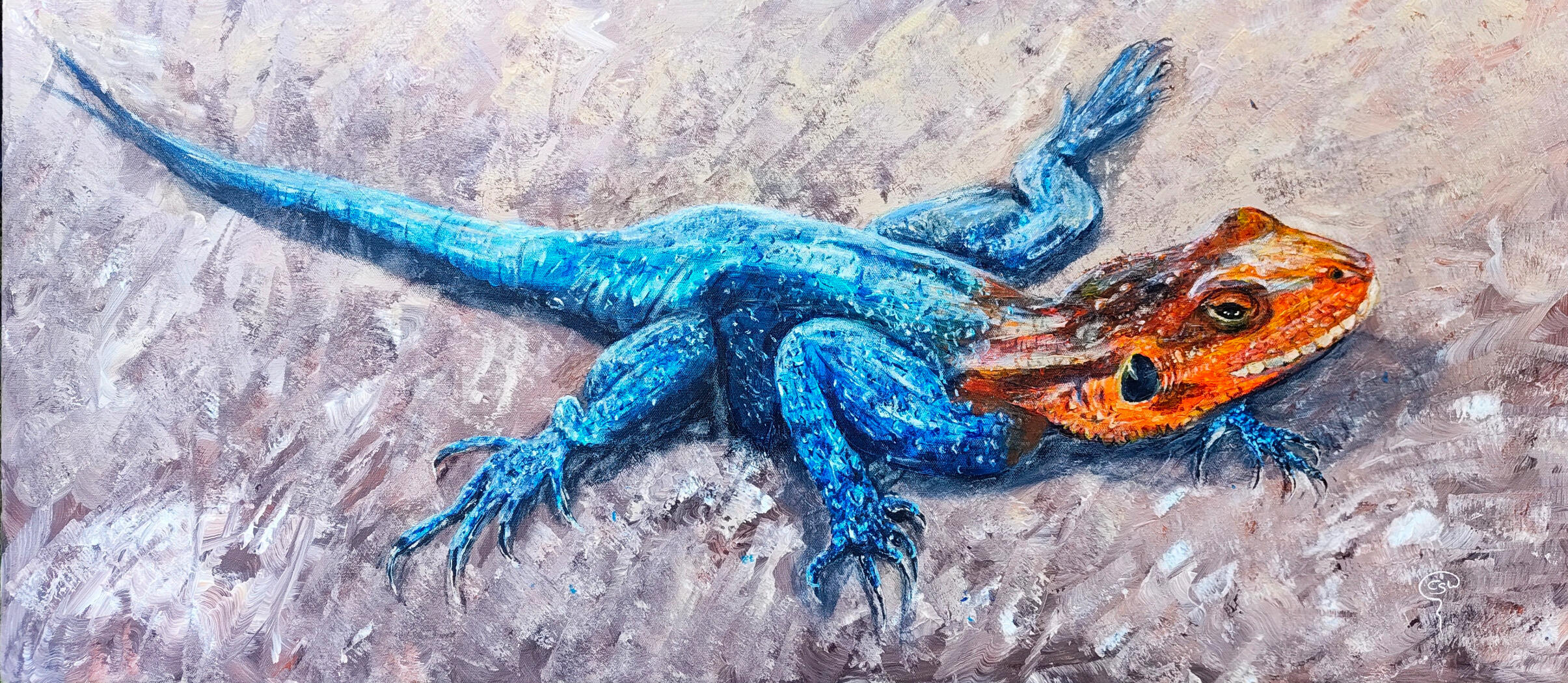 Oops, I did it Agama