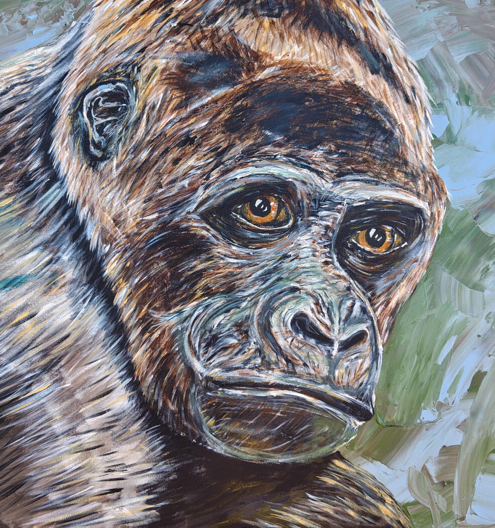 Gorilla