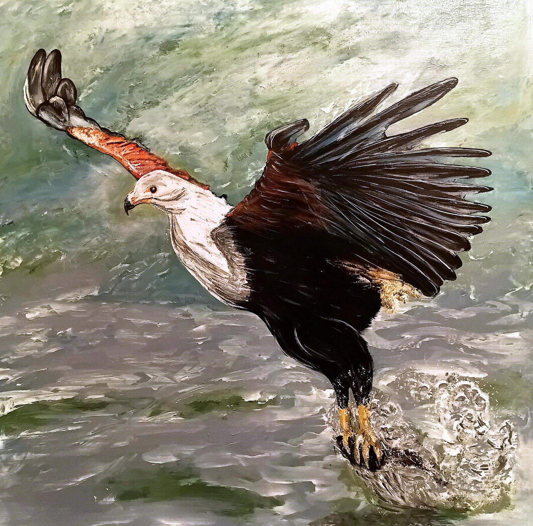 African Fish Eagle