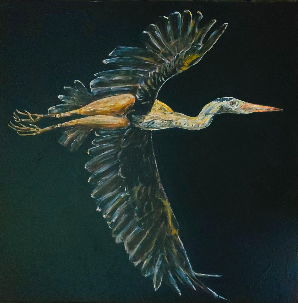 Heron