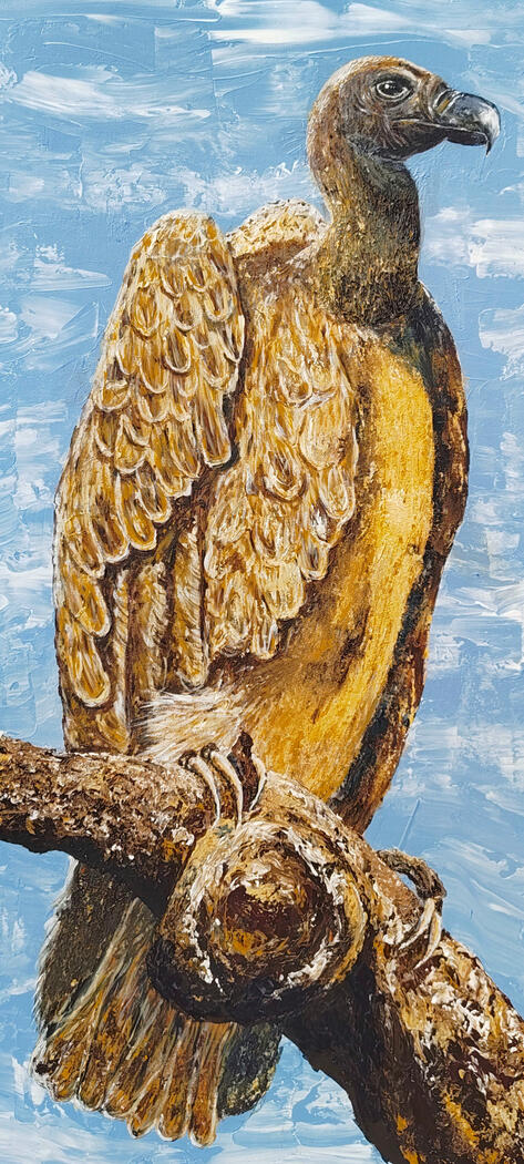 Vulture