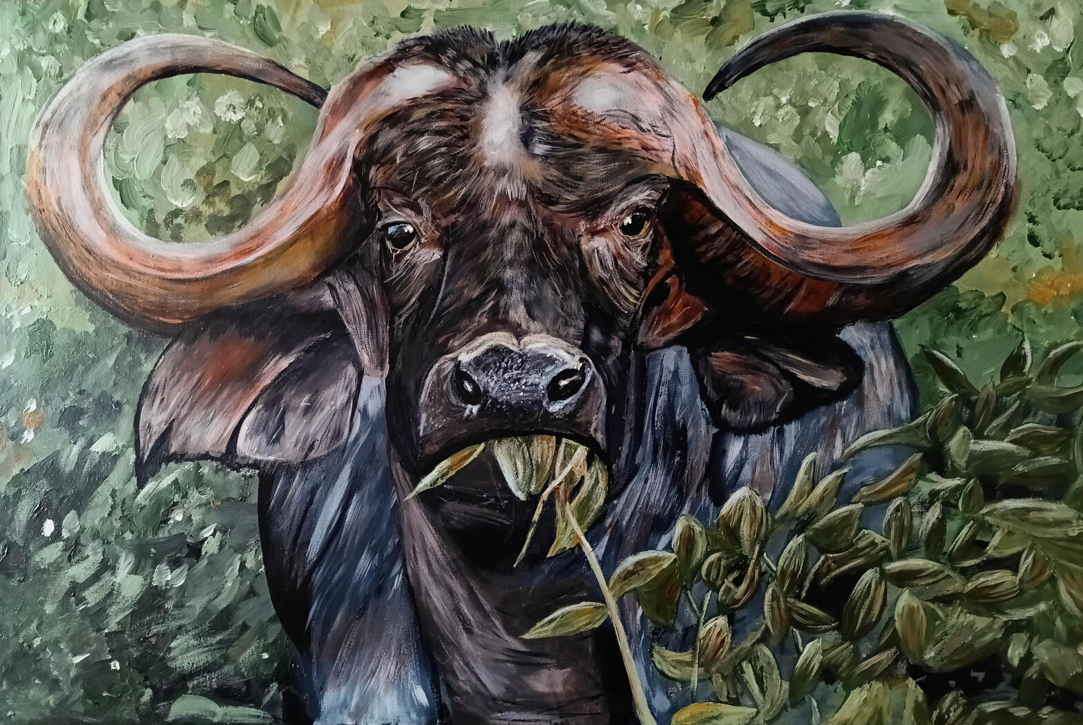 Buffalo
