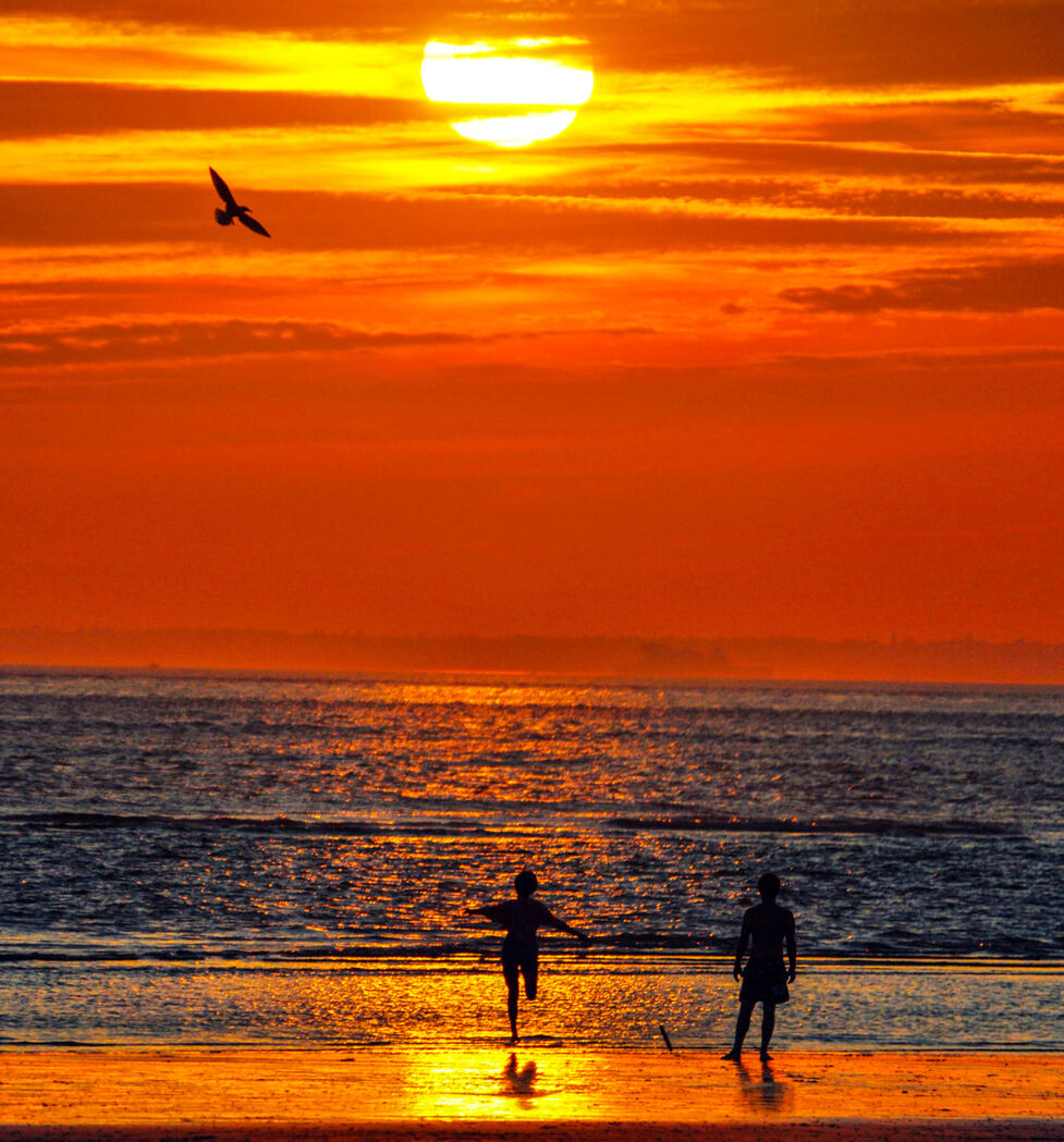 Dancing in the Sunset